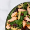 Salata mix de frunze verzi si somon 0.55 kg - Revelion